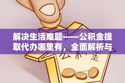 嘉善解决生活难题——公积金提取代办哪里有，全面解析与服务推荐
