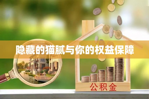 嘉善隐藏的猫腻与你的权益保障