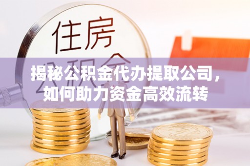 嘉善揭秘公积金代办提取公司，如何助力资金高效流转
