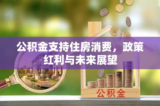 嘉善公积金支持住房消费，政策红利与未来展望