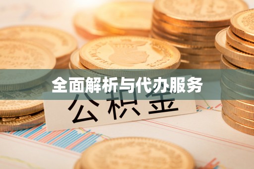 嘉善全面解析与代办服务