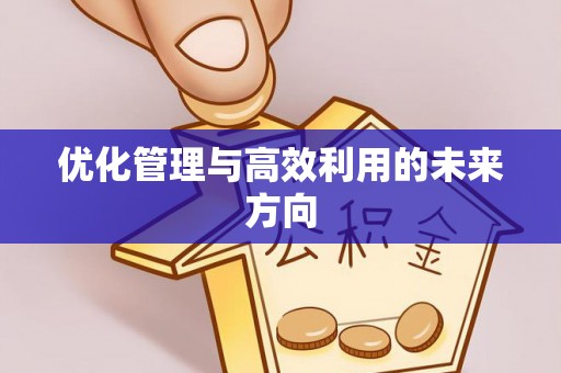 嘉善优化管理与高效利用的未来方向