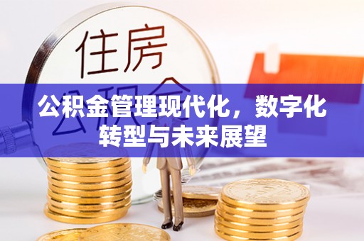 嘉善公积金管理现代化，数字化转型与未来展望