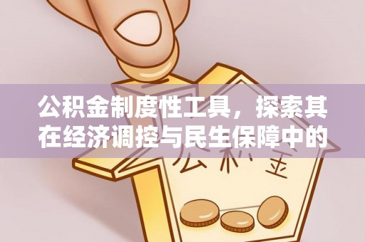 嘉善公积金制度性工具，探索其在经济调控与民生保障中的重要作用