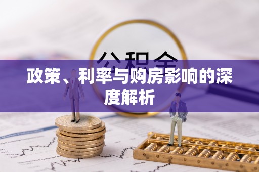 嘉善政策、利率与购房影响的深度解析