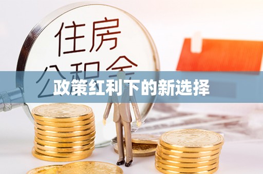 嘉善政策红利下的新选择