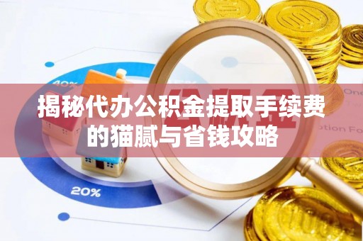 嘉善揭秘代办公积金提取手续费的猫腻与省钱攻略