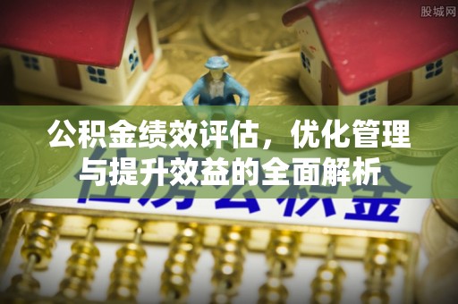 嘉善公积金绩效评估，优化管理与提升效益的全面解析