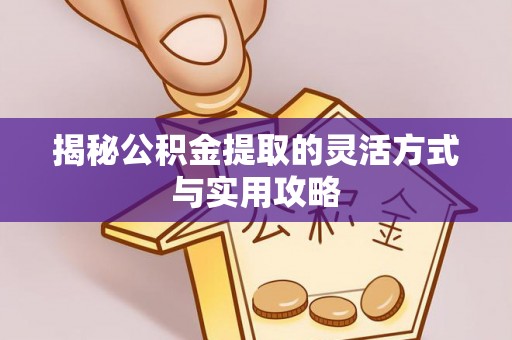 嘉善揭秘公积金提取的灵活方式与实用攻略