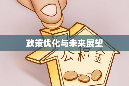 嘉善政策优化与未来展望
