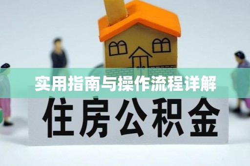 嘉善实用指南与操作流程详解