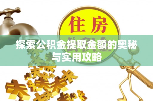 嘉善探索公积金提取金额的奥秘与实用攻略