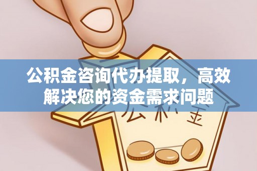 嘉善公积金咨询代办提取，高效解决您的资金需求问题