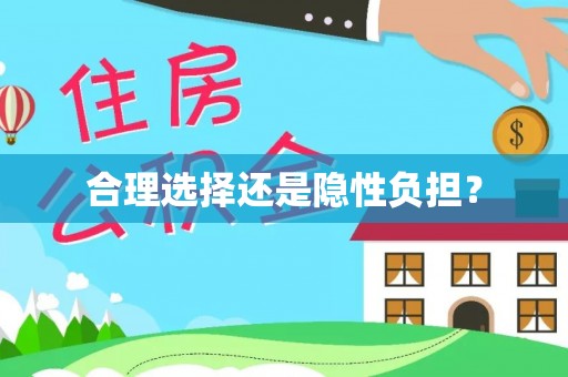 嘉善合理选择还是隐性负担？