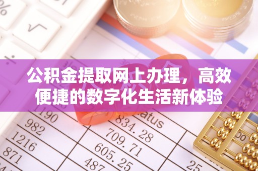 嘉善公积金提取网上办理，高效便捷的数字化生活新体验