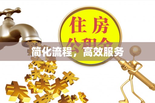 嘉善简化流程，高效服务