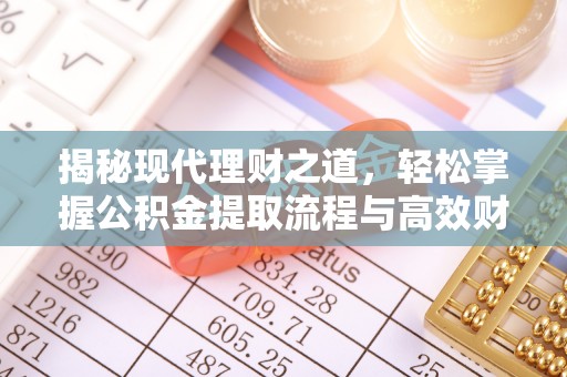 嘉善揭秘现代理财之道，轻松掌握公积金提取流程与高效财务规划