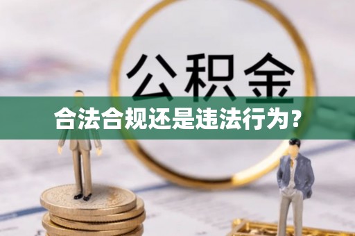 嘉善合法合规还是违法行为？