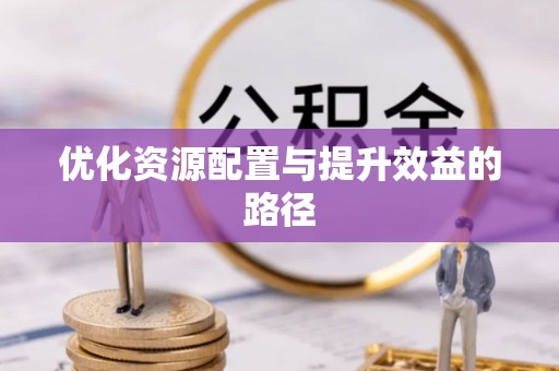 嘉善优化资源配置与提升效益的路径