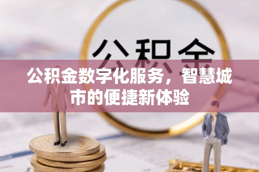 嘉善公积金数字化服务，智慧城市的便捷新体验