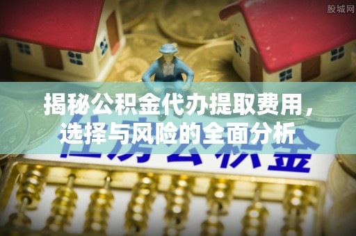 嘉善揭秘公积金代办提取费用，选择与风险的全面分析