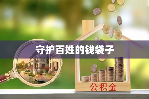 嘉善守护百姓的钱袋子