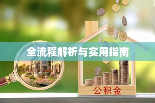 嘉善全流程解析与实用指南