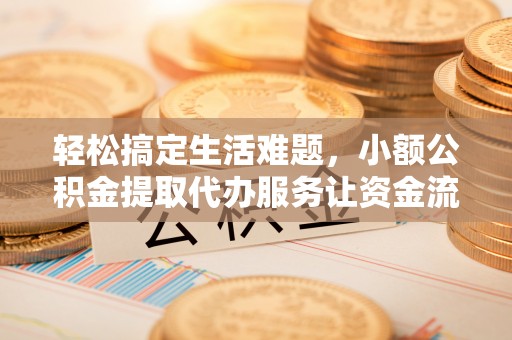 嘉善轻松搞定生活难题，小额公积金提取代办服务让资金流动更便捷