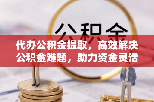 嘉善代办公积金提取，高效解决公积金难题，助力资金灵活使用
