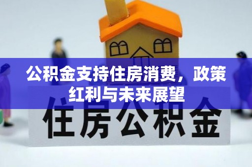 嘉善公积金支持住房消费，政策红利与未来展望
