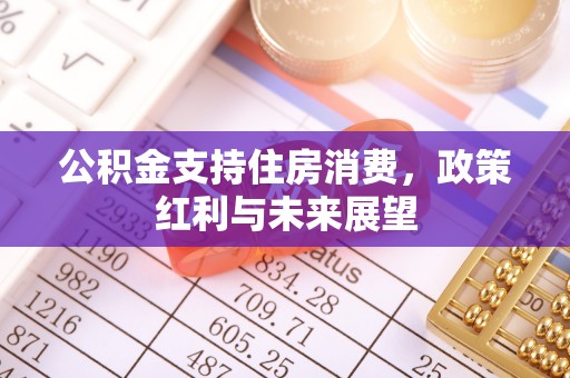 嘉善公积金支持住房消费，政策红利与未来展望