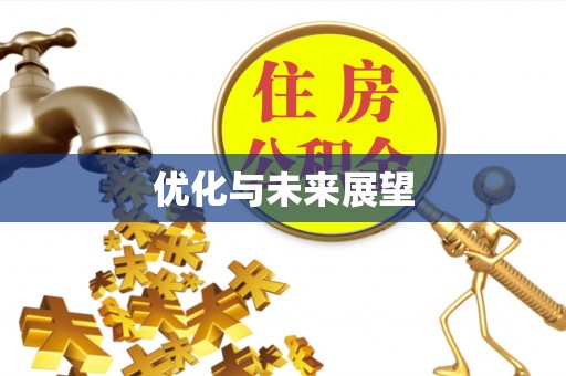 嘉善优化与未来展望