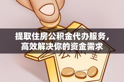 嘉善提取住房公积金代办服务，高效解决你的资金需求