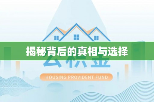嘉善揭秘背后的真相与选择