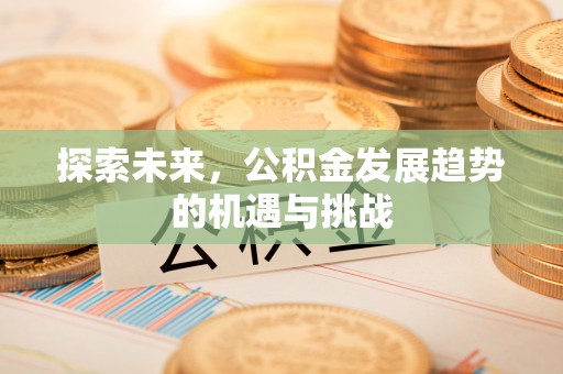 嘉善探索未来，公积金发展趋势的机遇与挑战