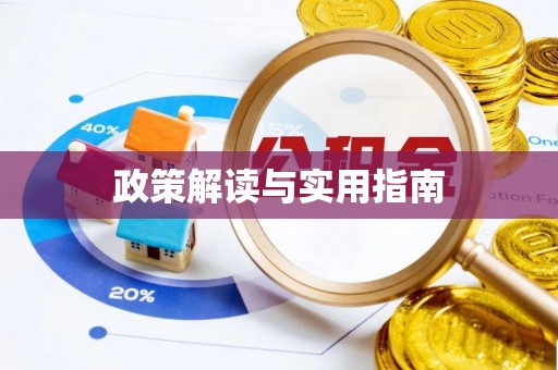 嘉善政策解读与实用指南