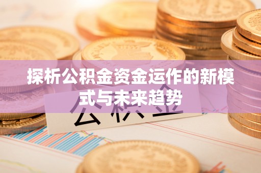 嘉善探析公积金资金运作的新模式与未来趋势