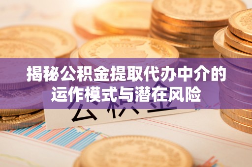 嘉善揭秘公积金提取代办中介的运作模式与潜在风险