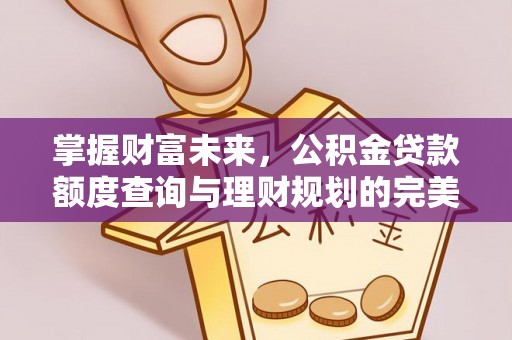 嘉善掌握财富未来，公积金贷款额度查询与理财规划的完美结合