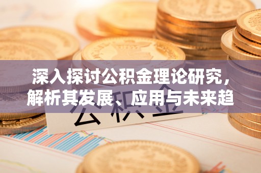 嘉善深入探讨公积金理论研究，解析其发展、应用与未来趋势