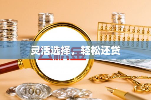 嘉善灵活选择，轻松还贷