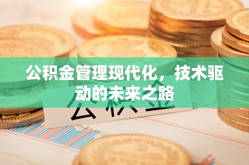 嘉善公积金管理现代化，技术驱动的未来之路